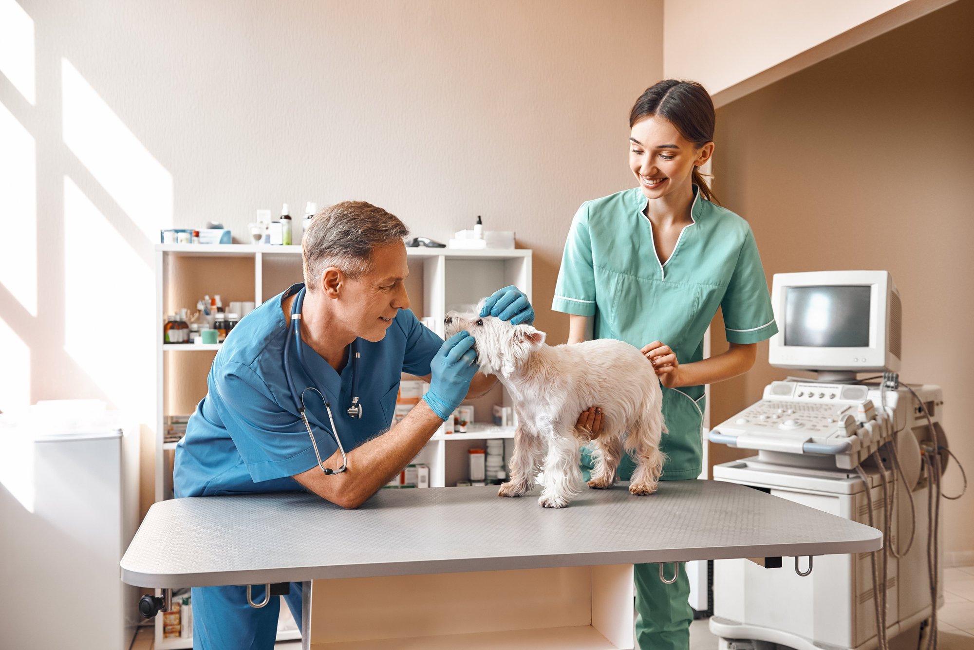 vet-clinic vet-clinic